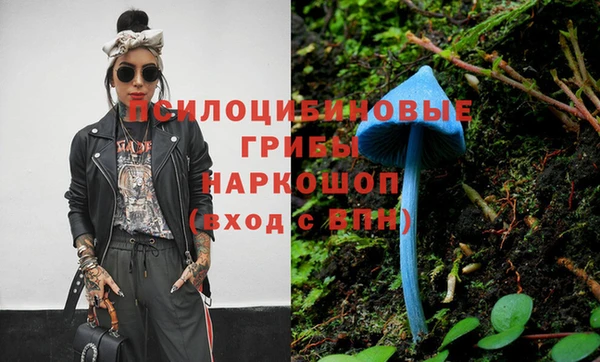 прущие крисы Нея