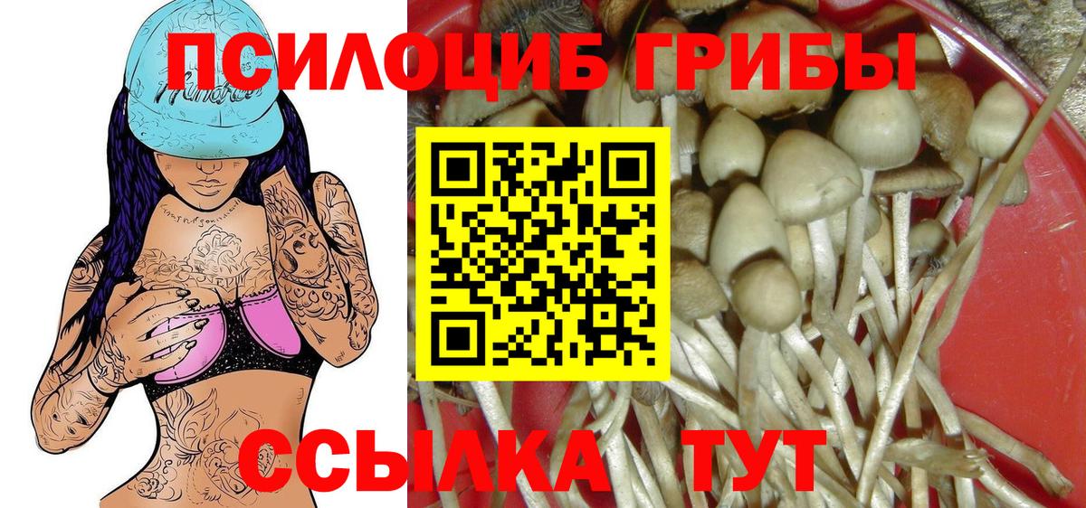 Псилоцибиновые грибы Psilocybine cubensis  Вход с VPN  Галлюциногенные грибы Psilocybine cubensis  Южно-Сахалинск 