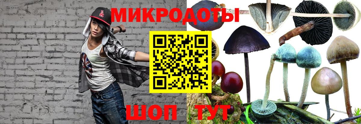 Галлюциногенные грибы мицелий Южно-Сахалинск